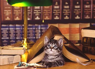 Knjige_i_macke 08.06.2018