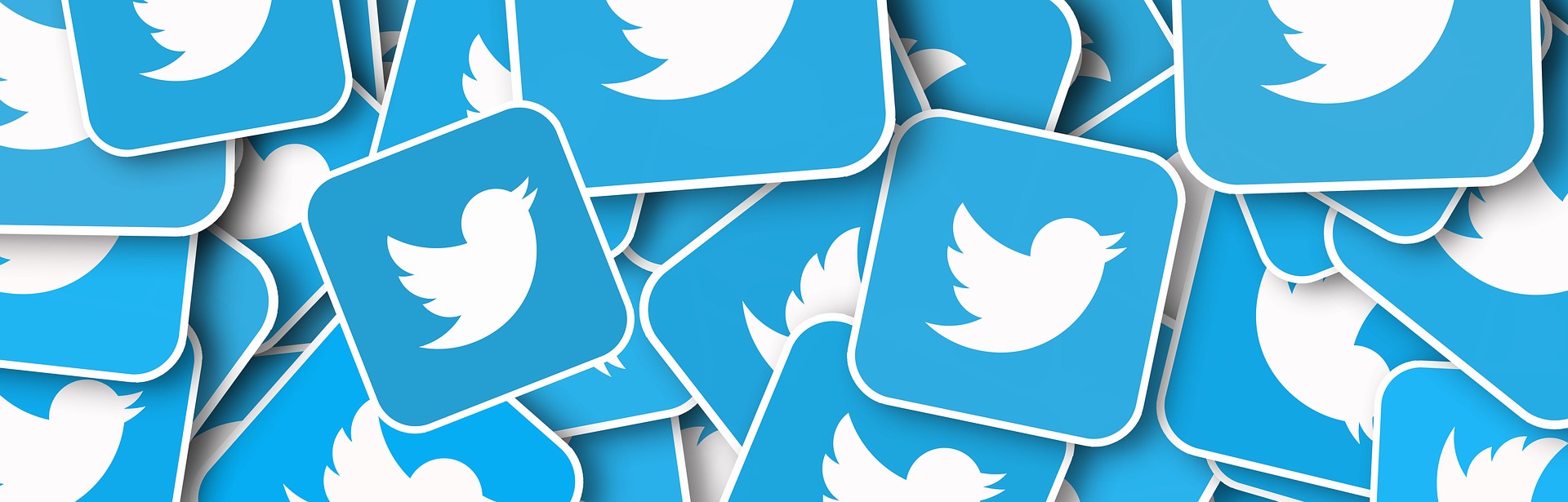 Twitter logo - ptičica; Foto: geralt pixabay.com