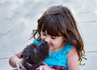 Zašto nas psi ližu; Foto pexels.com