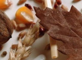 Običaji koji se rade za Badnji dan i Božić